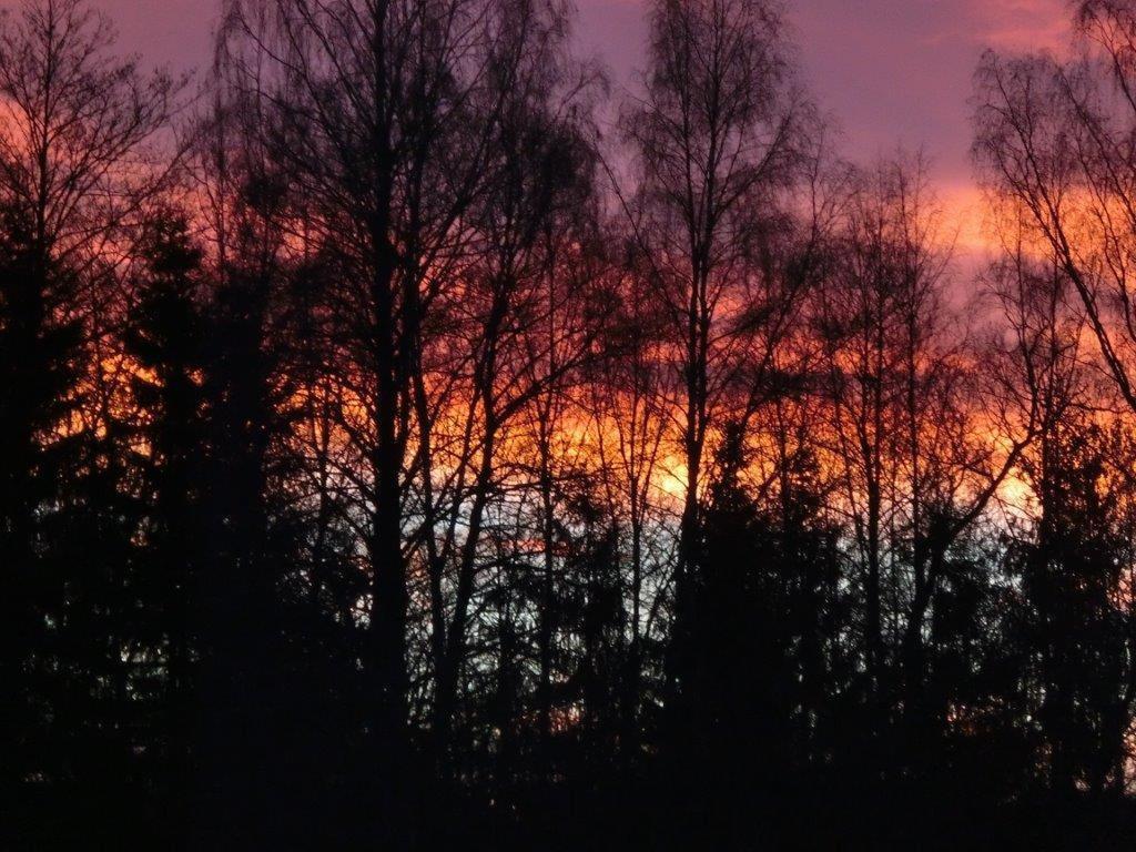 Pension Fohlenhof เฟราเออเนา ภายนอก รูปภาพ